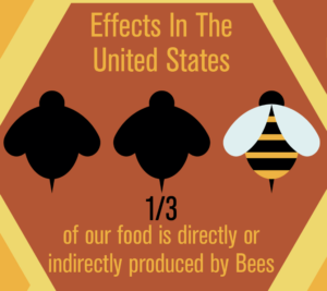 1/3 of food is made by bees