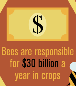 Bees are responsible for $30billion a year in crops