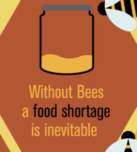 Withouht Bees a food shortage is inevitable